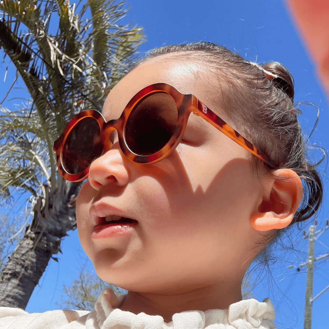 Original Euro Round - Classic Tortoise